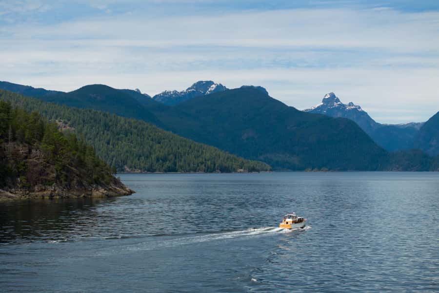 Sunshine Coast: Vintage Boat Tour with Wildlife Viewing - Key Points