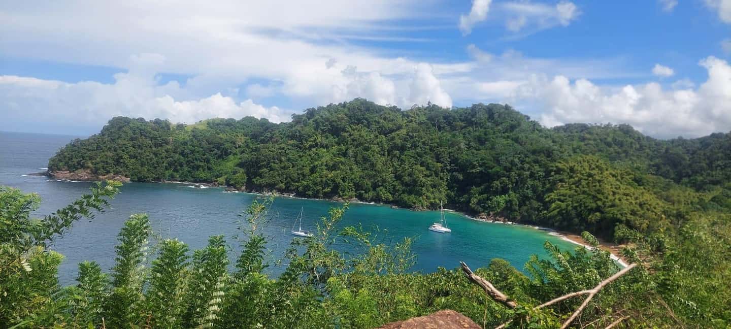 Tobago: Caribbean Coast Tour with Waterfall Swim - Key Points