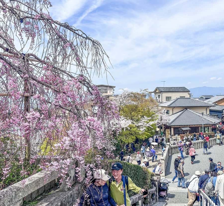 Osaka: Kyoto And Nara private Adventure Tour Hotel Pickup - The Itinerary: A Deep Dive into What You Can Expect