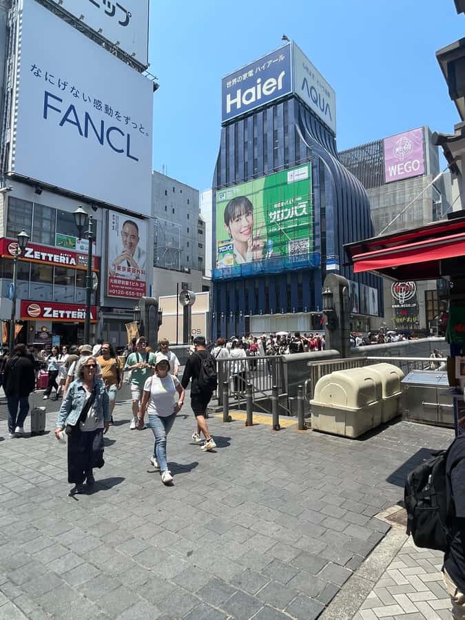 Osaka: Kyoto And Nara private Adventure Tour Hotel Pickup - Final Words