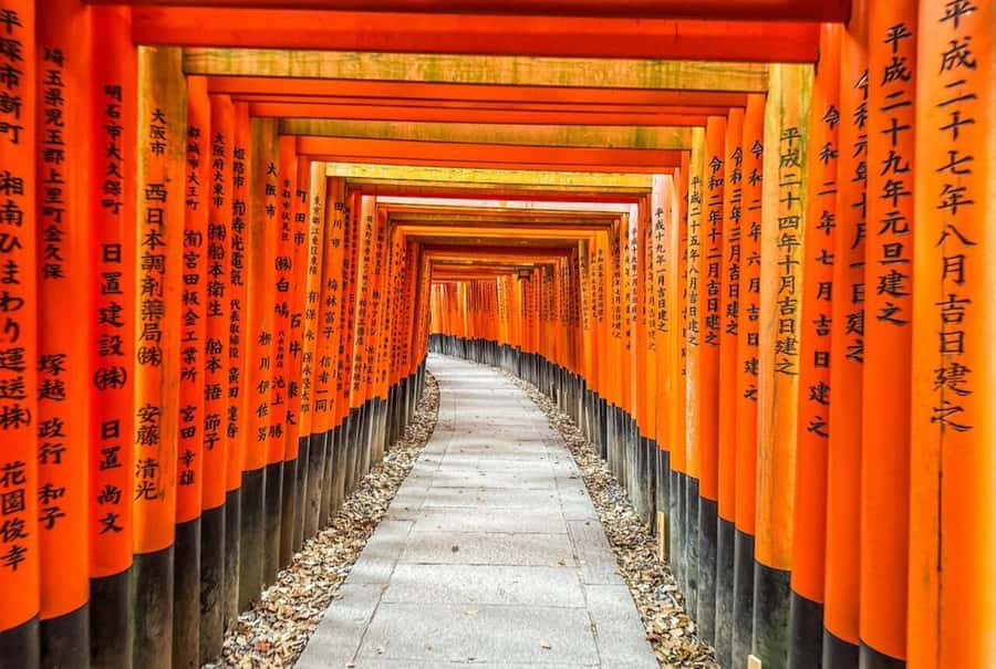 Osaka: Kyoto And Nara private Adventure Tour Hotel Pickup - Final Thoughts: Who Will Love This Tour?