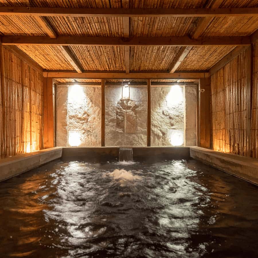 Nagano & Tokyo: Snow Monkey Park Private Tour Customizable - Key Points