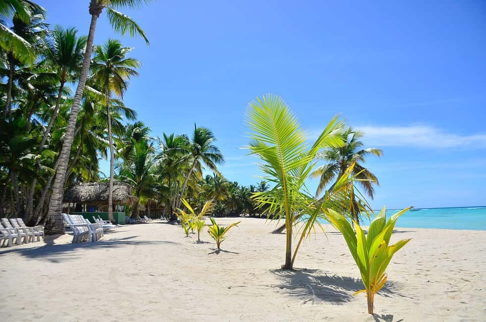 Punta cana: Island Escape to Saona  catamaran & Beach lunch - Swimming in the Natural Pool