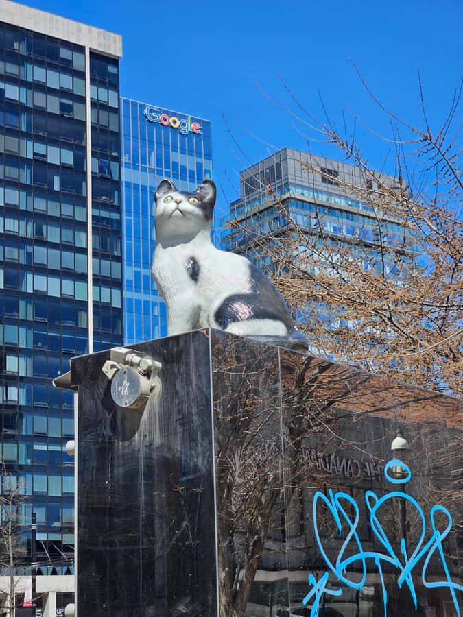 Toronto: Private Walking Tour of City Highlights - Who Is This Tour Best For?