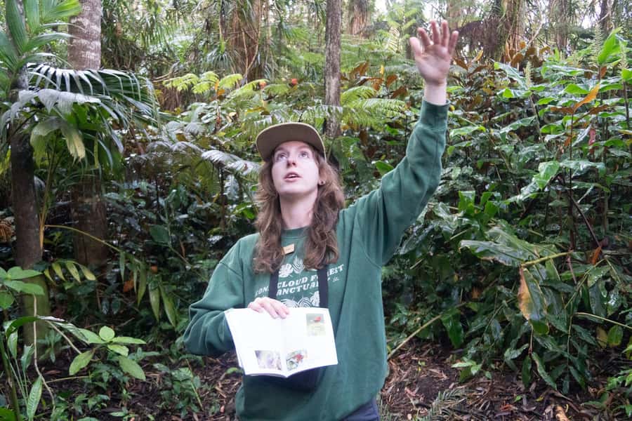 Early Bird Guided Birding Tour - Kailua-Kona, HI - Exploring the Kona Cloud Forest Sanctuary: A Balancing Act of Nature and Education