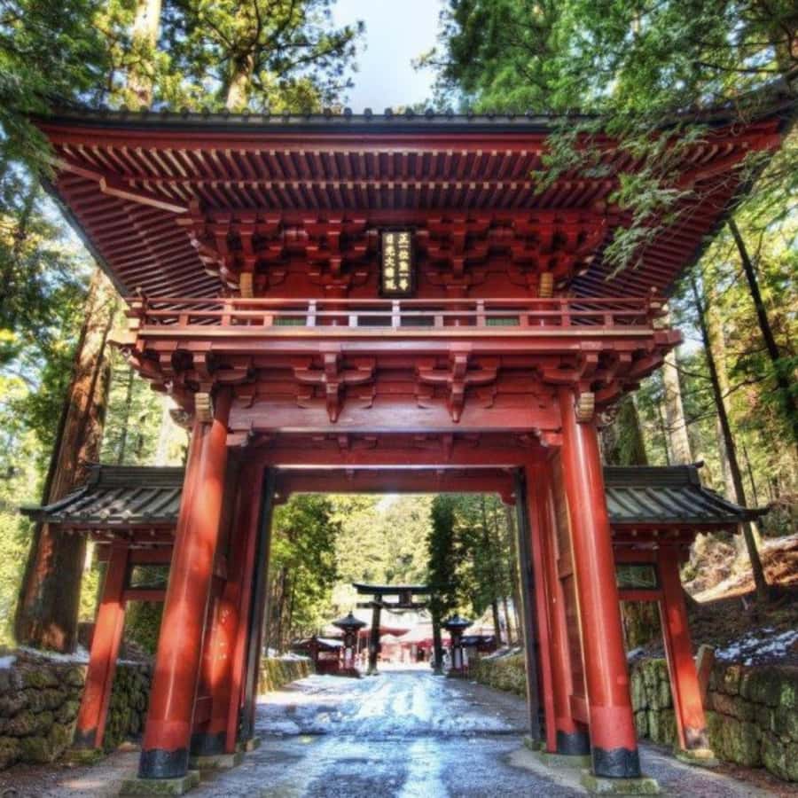 From Tokyo: Nikko Tshog Private Tour Customizable Day Trip - An In-Depth Look at the Nikko Private Tour