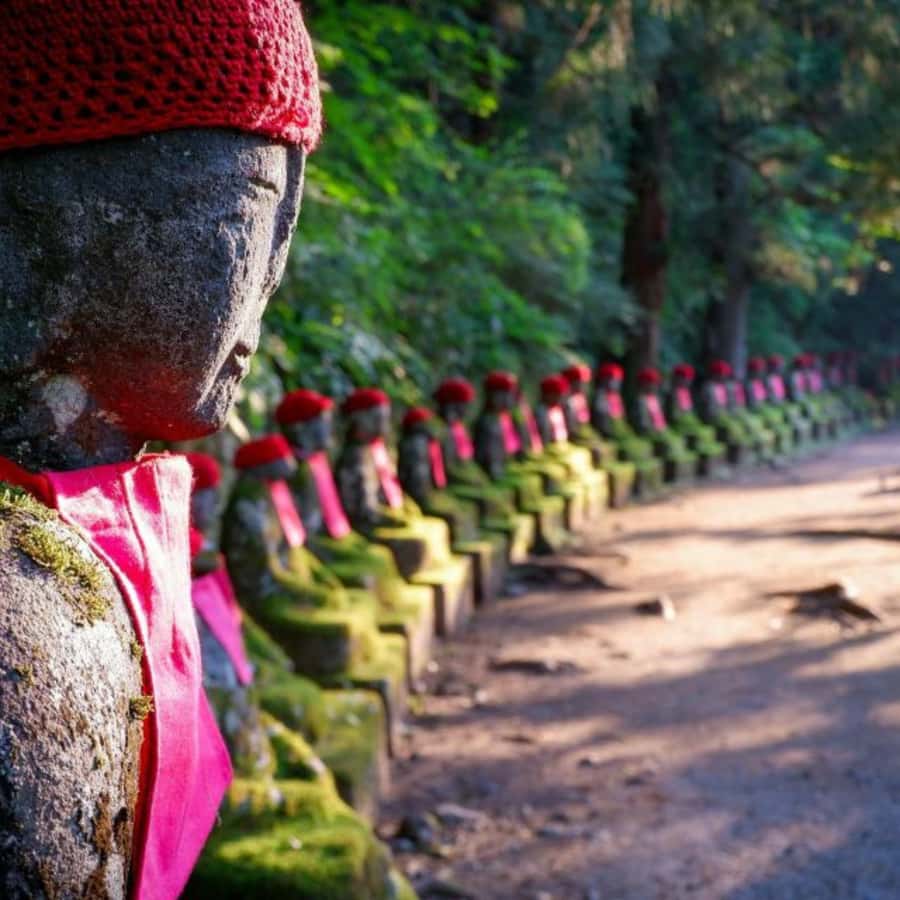 From Tokyo: Nikko Tshog Private Tour Customizable Day Trip - FAQs