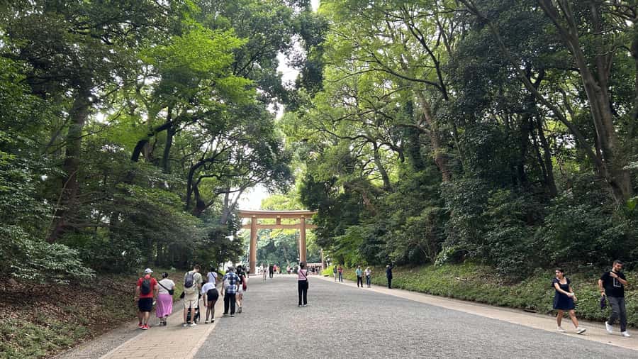 Tokyo: Private City Tour with Spanish-Speaking Guide - Exploring Tokyo with a Private Guide: A Practical, Balanced Review