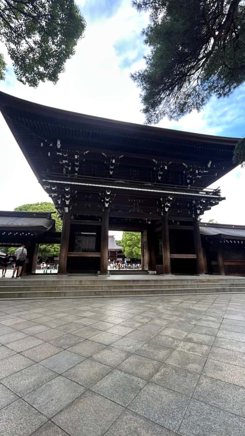 Tokyo: Private City Tour with Spanish-Speaking Guide - Concluding Thoughts: Who Should Consider This Tour?