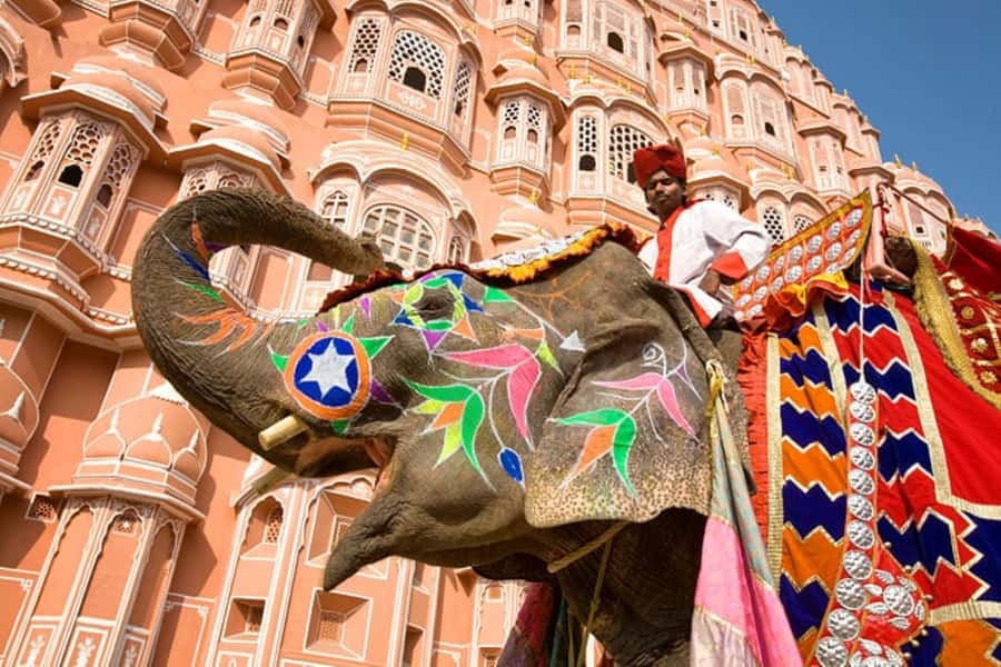Full Day Jaipur Sightseeing Tour - Transportation and Practical Details