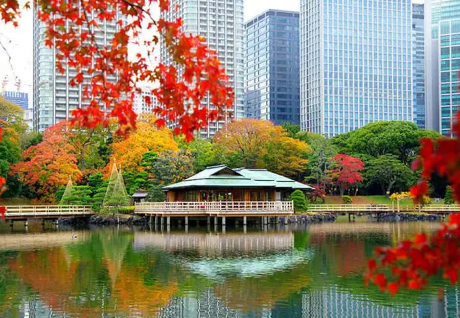 Tokyo Hidden Gems Sumo & Local Streets Day Tour - Who Will Love This Tour?