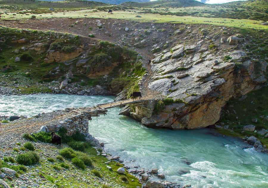 Limi Valley Trek - 10 Day - Practical Tips and Considerations