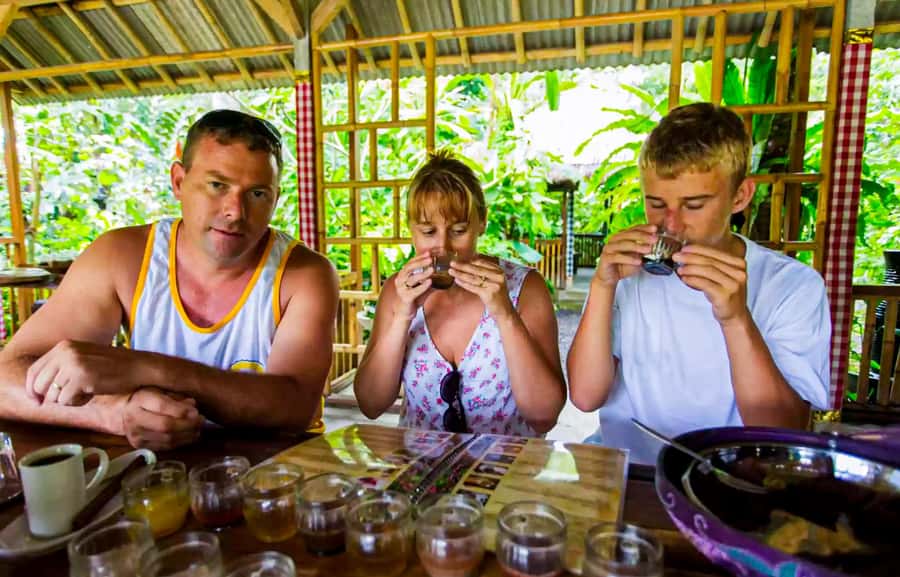 Bali: Sacred Lakes Temple, Hidden Waterfalls & Highland Calm - Good To Know