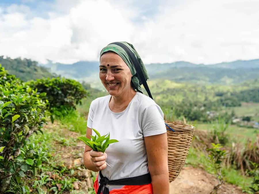 Sri Lanka: 4-Day British Ceylon Tea Trail Tour with Hotels - The Itinerary: An In-Depth Look