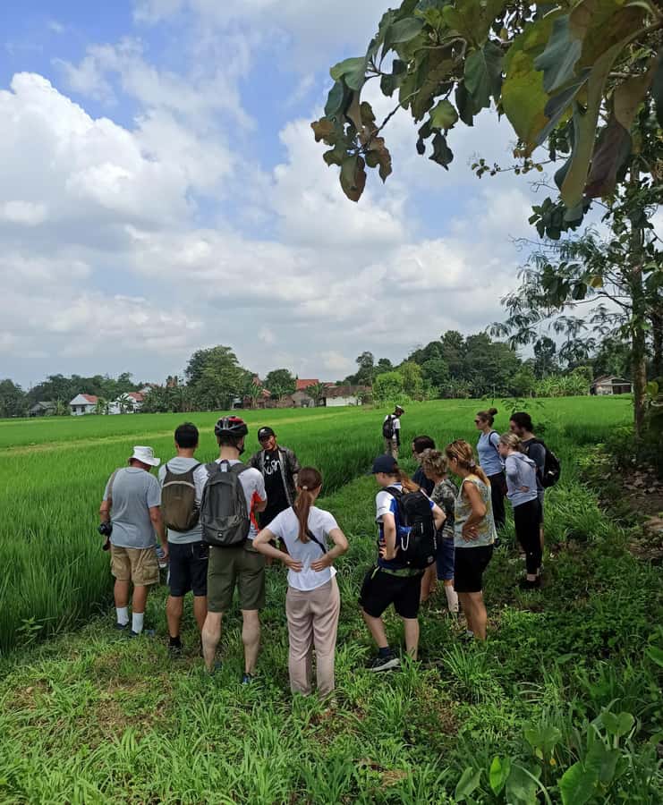 Cultural tour by Becak (traditional Yogyakarta transport) - Key Points