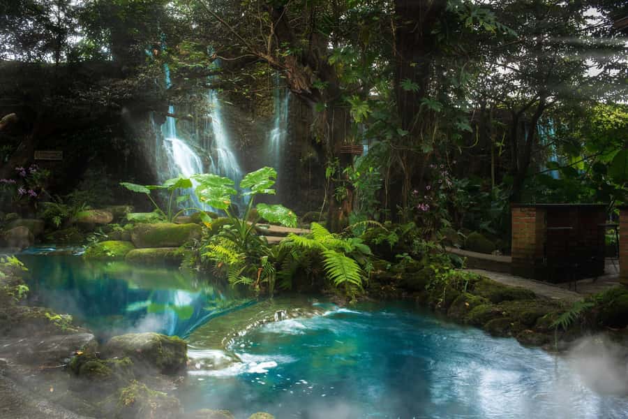 Chiang Mai: Dan Tewada Land, Bamboo Rafting & Waterfall Tour - A Walk Through Dantewada Park: The Land of Angels