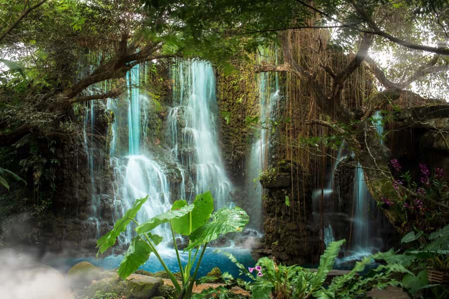 Chiang Mai: Dan Tewada Land, Bamboo Rafting & Waterfall Tour - The Marvel of Bua Tong Sticky Waterfalls