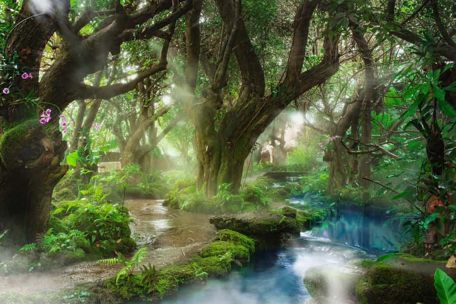 Chiang Mai: Dan Tewada Land, Bamboo Rafting & Waterfall Tour - Bamboo Rafting on Mae Taeng River