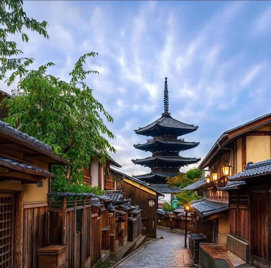 Kyoto: Private Customizable Day Tour with Guide and Vehicle - Key Points