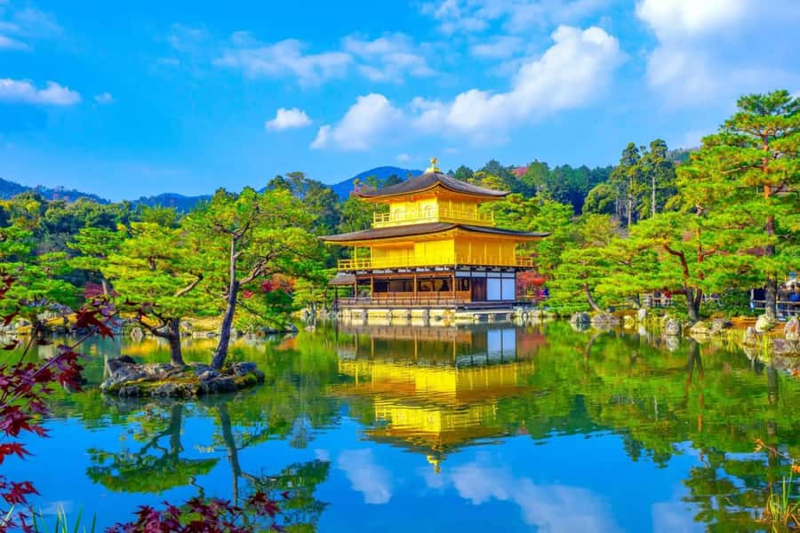 Kyoto: Private Customizable Day Tour with Guide and Vehicle - Authentic Experiences from Past Travelers