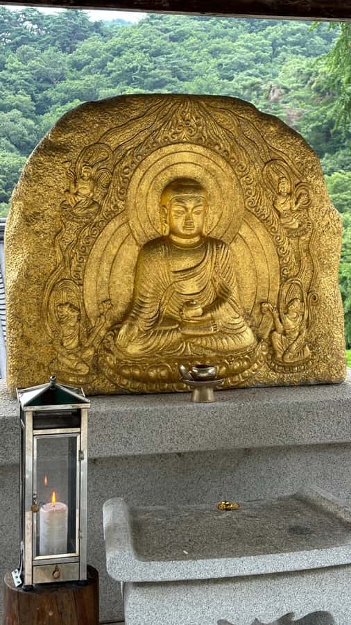 Seoul: "Taste Korea Slow" Full Day Escape & Wellness Tour - Who Will Love This Tour?