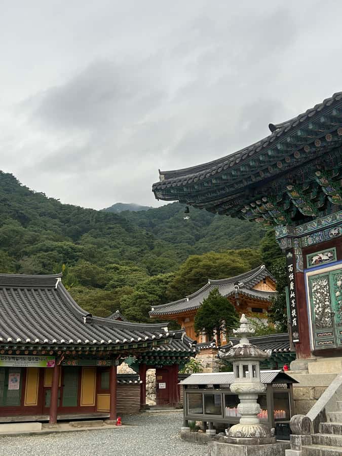 Seoul: "Taste Korea Slow" Full Day Escape & Wellness Tour - Tranquil Mountain Temple Retreat