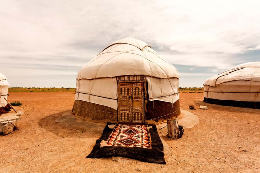 Safari in Kyzylkoum and Lake Aydar (2 days): yurt camping and more! - What’s Included and Practical Considerations