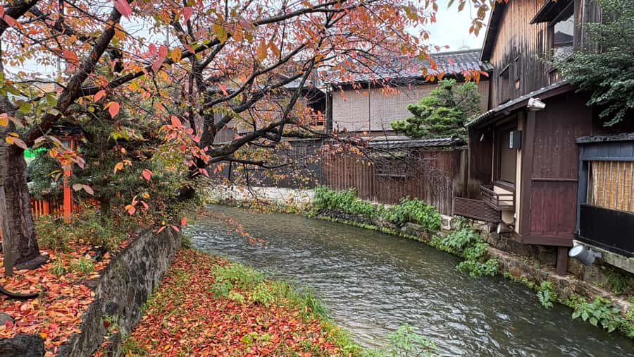 Kyoto: Geisha Area & Yasaka Shrine Walk (Eng & Arabic) Guide - Exploring Kyoto’s Gion District and Yasaka Shrine