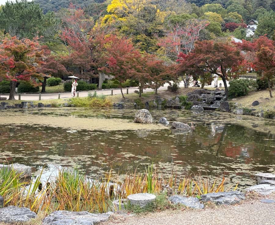 Kyoto: Geisha Area & Yasaka Shrine Walk (Eng & Arabic) Guide - The Experience from Reviews and Real Insights