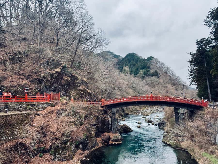 Nikko: a guided tour of the UNESCO World Heritage shrine, nestled in the forest - An in-depth look at the tour experience