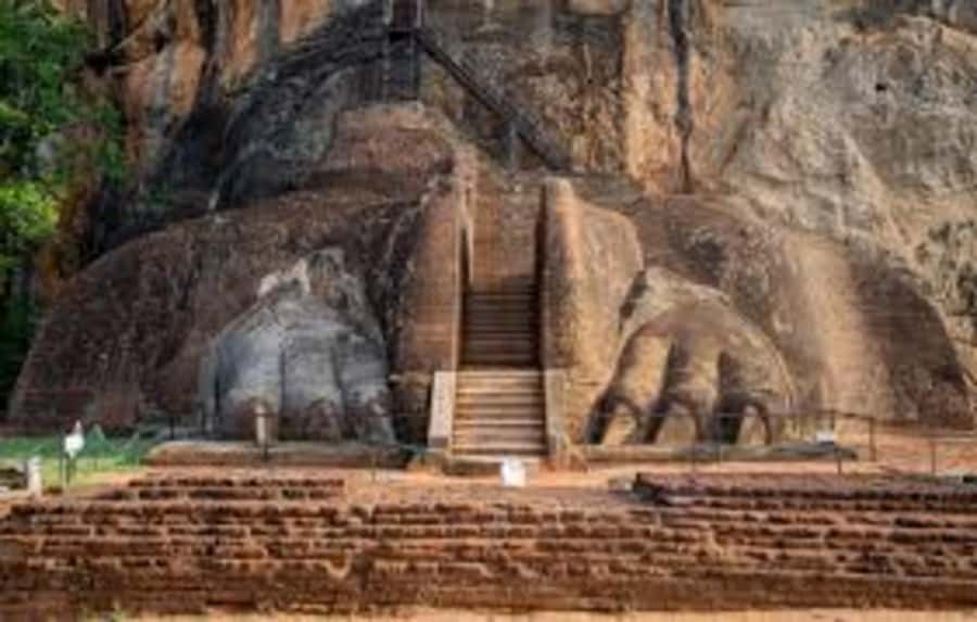 Bentota: Sigiriya Rock Fortress & Dambulla Temple Day Trip - The Experience in Detail