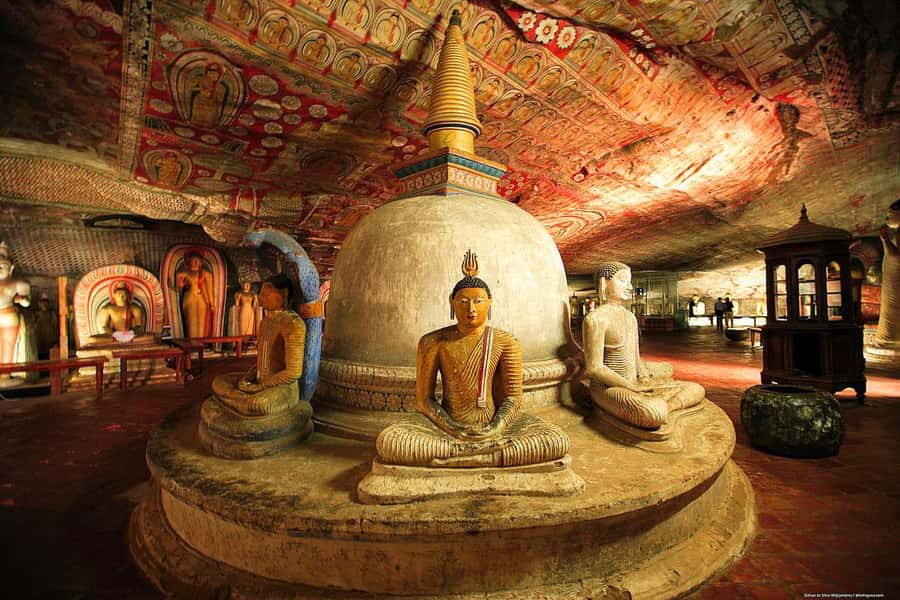 Bentota: Sigiriya Rock Fortress & Dambulla Temple Day Trip - Who Might Consider Other Options?