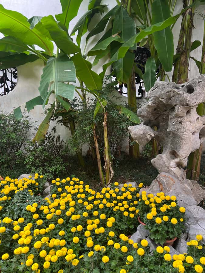 Suzhou: City Walking Tour with Breakfast & Lunch - The Sum Up