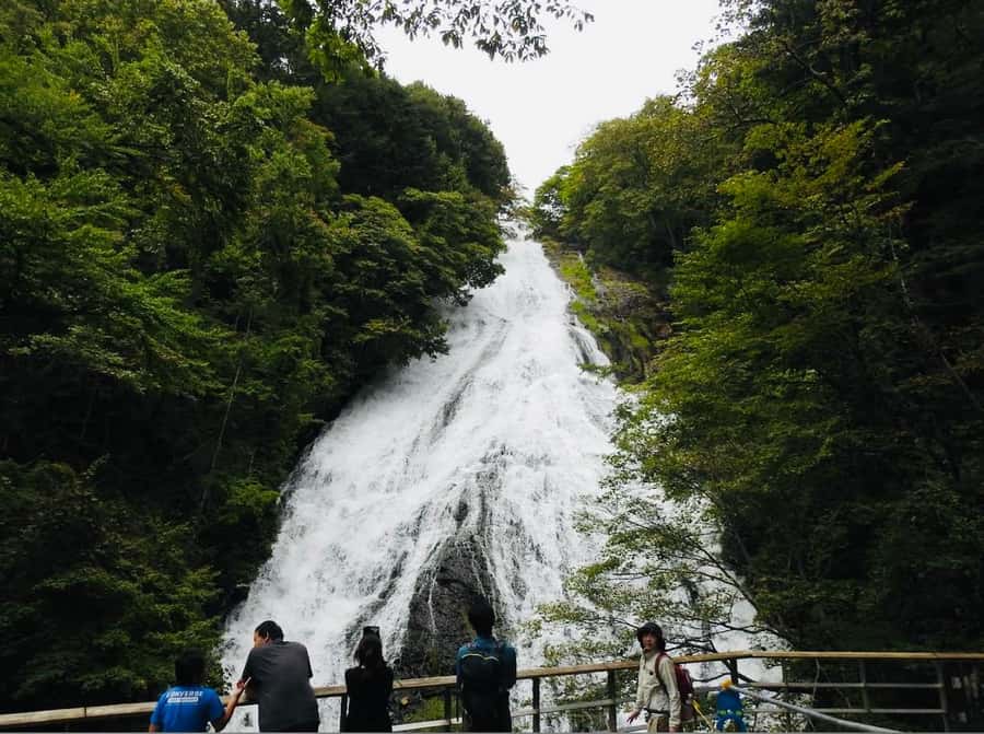 Tochigi: Nikko City, Waterfalls, & Ropeway Tour - What to Expect from This Day Tour