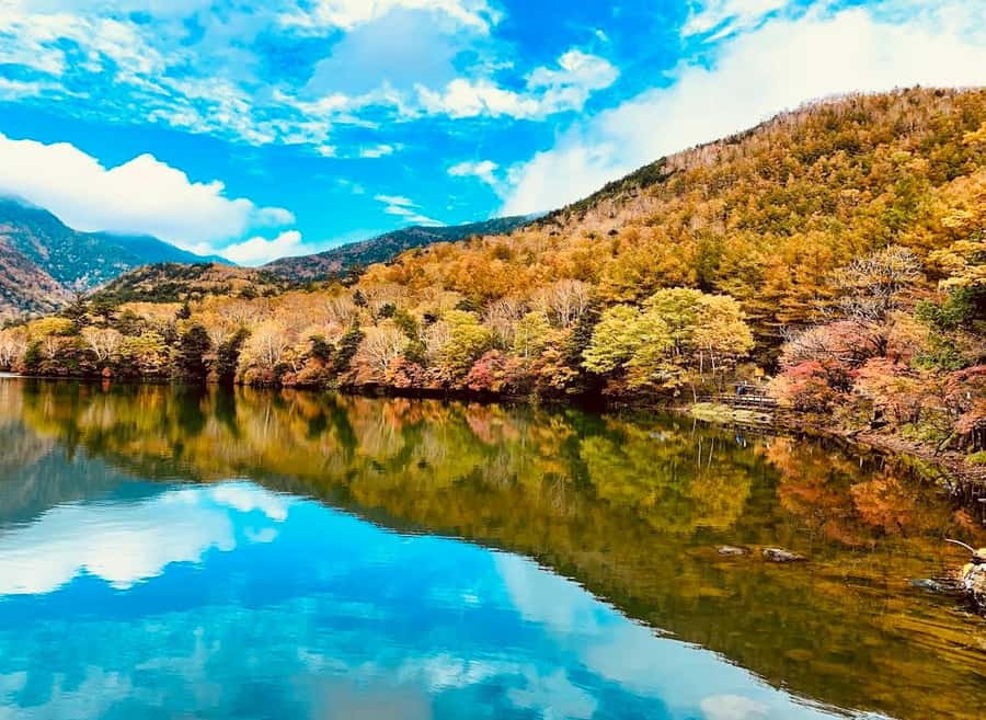 Tochigi: Nikko City, Waterfalls, & Ropeway Tour - Good To Know