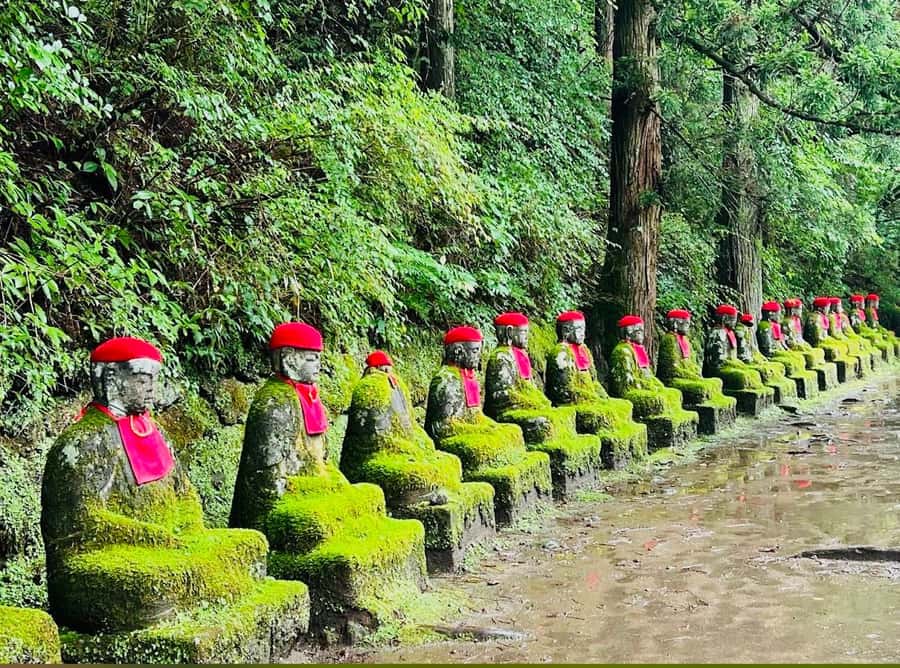 Tochigi: Nikko City, Waterfalls, & Ropeway Tour - In-Depth Look at the Experience