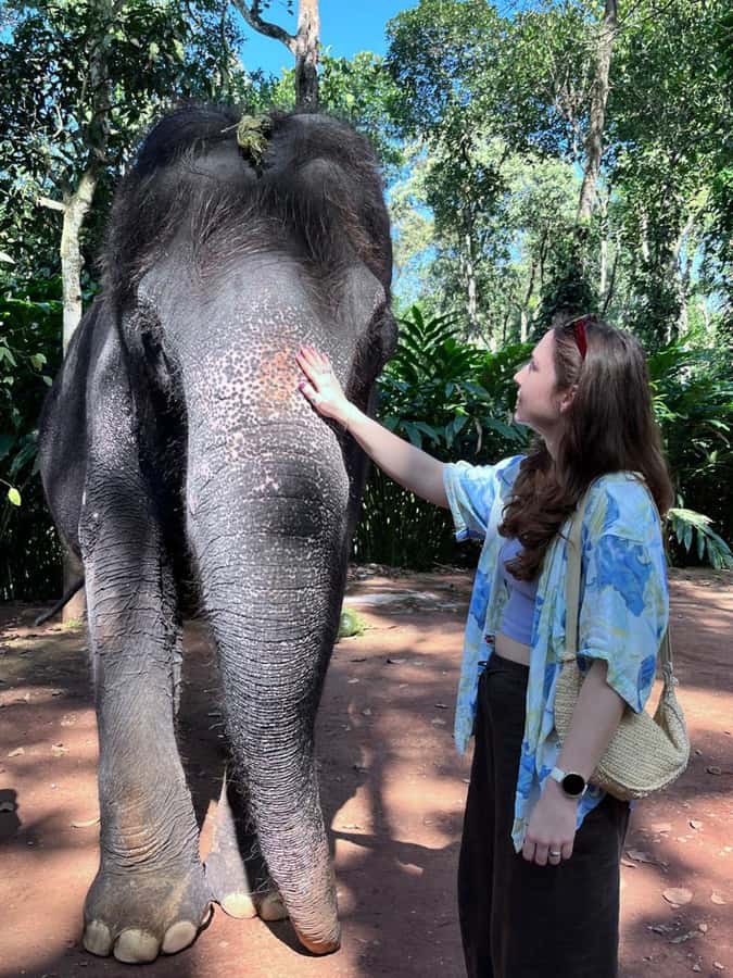 Kochi:- Same Day Periyar Wildlife Tour with Elephant Bath - Key Points