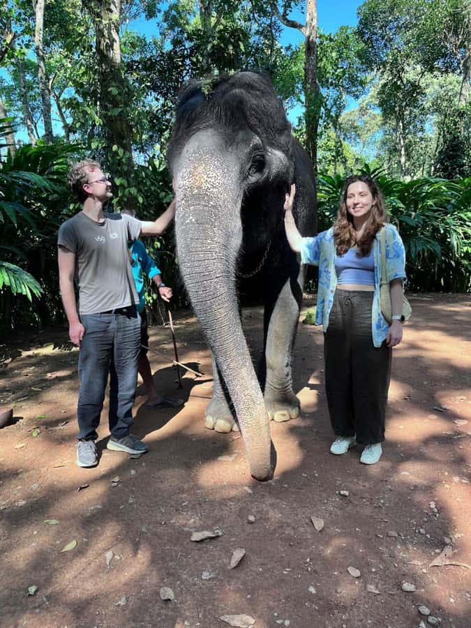 Kochi:- Same Day Periyar Wildlife Tour with Elephant Bath - A Deep Dive into the Periyar Wildlife Experience