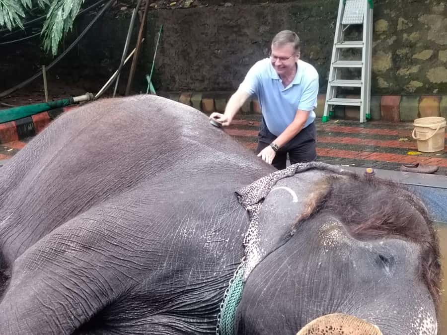 Kochi:- Same Day Periyar Wildlife Tour with Elephant Bath - Authentic Experiences and Insider Tips