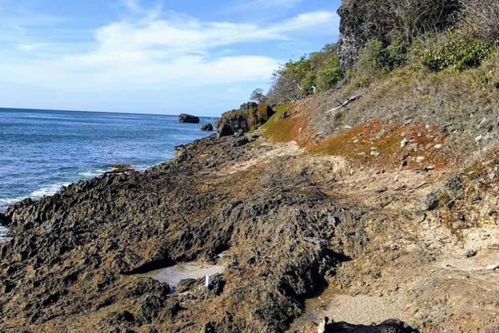 Barbados: Hiking and Sightseeing Tour - The Highlights in Detail