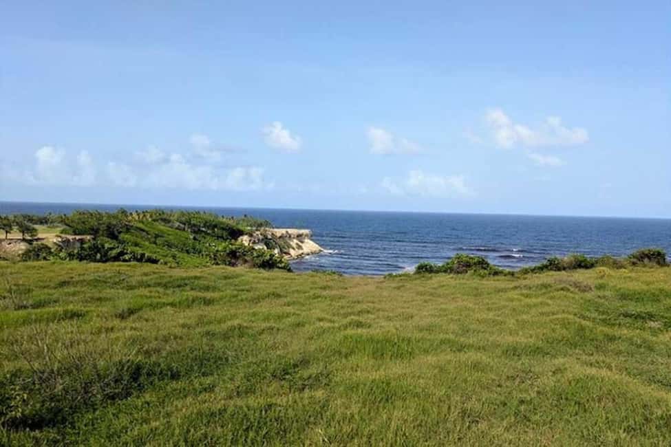Barbados: Hiking and Sightseeing Tour - Exploring the Barbados: Hiking and Sightseeing Tour