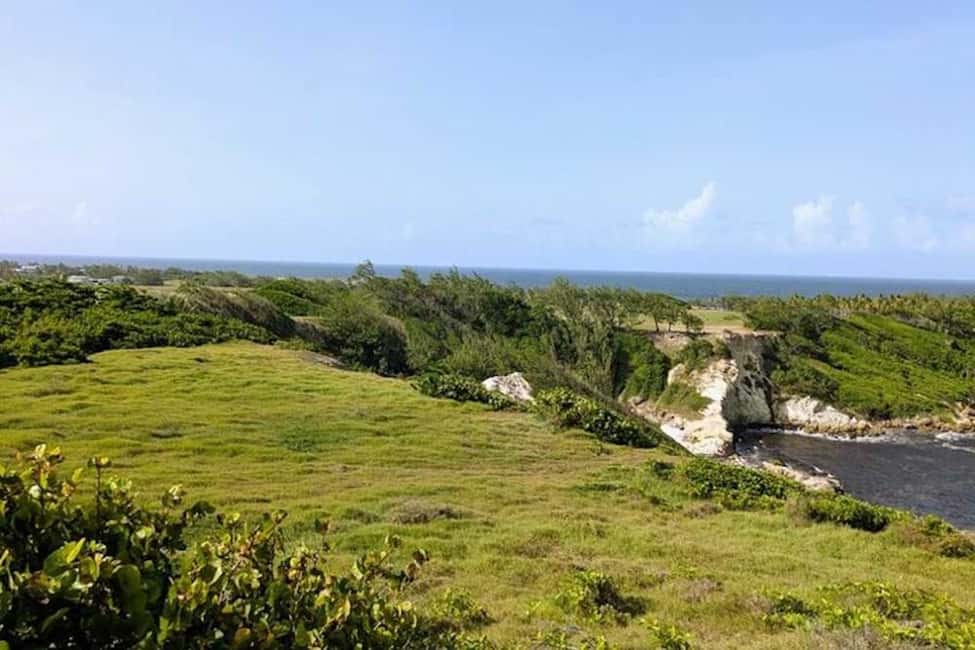 Barbados: Hiking and Sightseeing Tour - The Sum Up