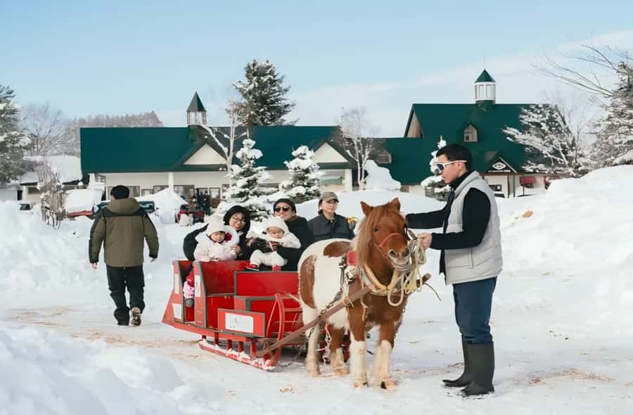 Penguins, Countryside & Fairytale VillageSapporo Day Trip - The Sum Up: Who Will Love This Tour?