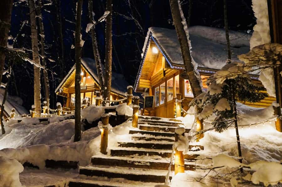 Penguins, Countryside & Fairytale VillageSapporo Day Trip - Key Points