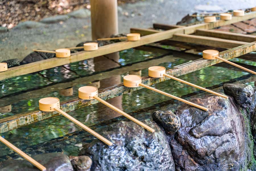 Nagoya Food and Culture tour: Atsuta Shrine and Osu Market - Who Will Love This Tour?