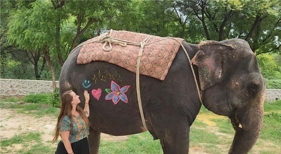 Jaipur: Hathi Gaon Elephant Riding Painting-Feeding Activity - What to Expect from the Jaipur Hathi Gaon Experience