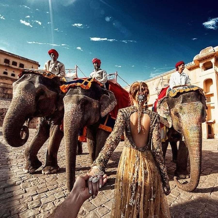 Jaipur: Hathi Gaon Elephant Riding Painting-Feeding Activity - The Sum Up