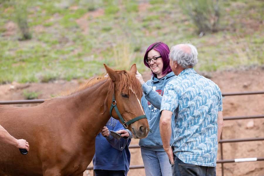 Florissant: Private Horse Experience with Rescue Mustangs - A Closer Look at the Florissant Horse Experience