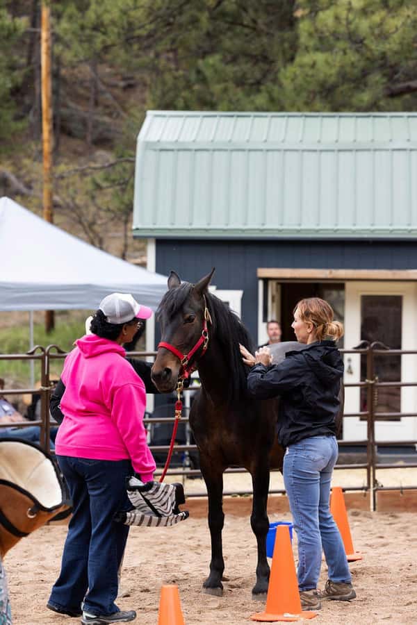 Florissant: Private Horse Experience with Rescue Mustangs - Final Thoughts