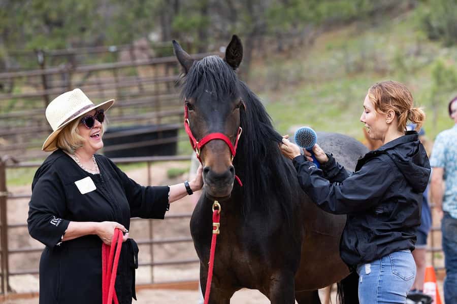 Florissant: Private Horse Experience with Rescue Mustangs - Why This Experience Is Worth Considering